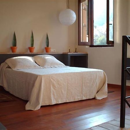 Casa Rural Pico Espadan Pensionat Almedíjar Rum bild